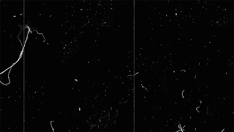 ㅤㅤㅤㅤㅤㅤㅤ