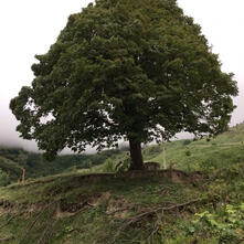 ㅤㅤㅤㅤㅤㅤㅤ