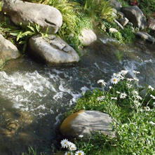 ㅤㅤㅤㅤㅤㅤㅤ